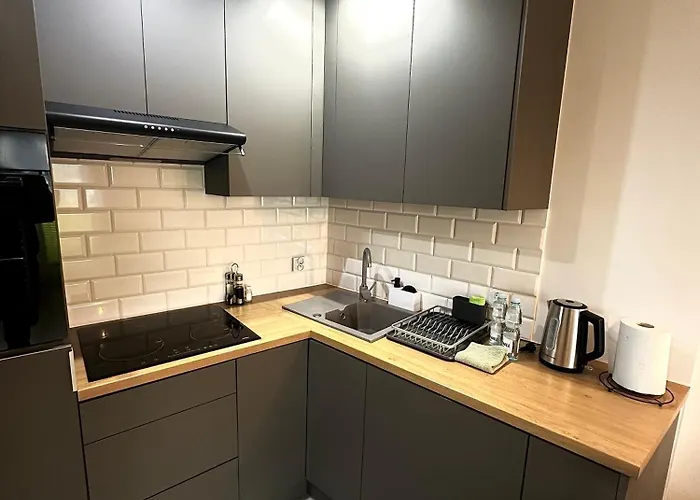 Nad Stawem アパート